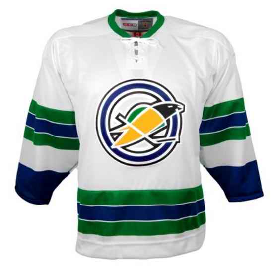 Men Oakland Seals White Stitched jersey->anaheim ducks->NHL Jersey