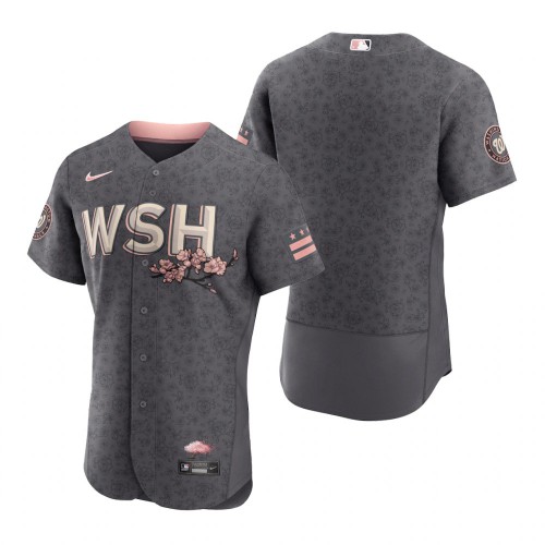 Washington Washington Nationals Blank Men’s Nike Authentic Gray 2022 City Connect Jersey Men’s->women mlb jersey->Women Jersey
