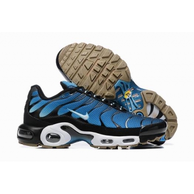 china cheap Nike Air Max Plus TN sneakers online