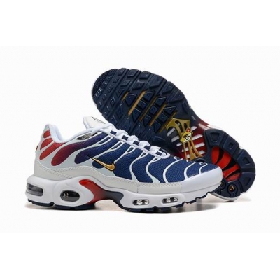 china cheap Nike Air Max Plus TN shoes